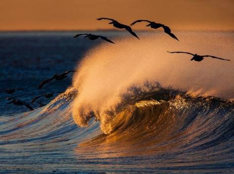 PLANET TRAVEL - надежный отдых!, фотография 2