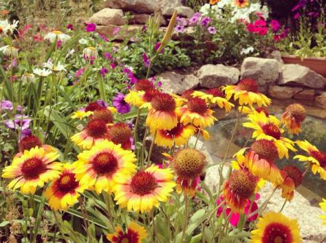 продам дом, фотография 2