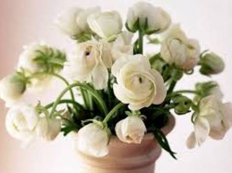 Мы доставим цветы к вам на дом, фотография 1