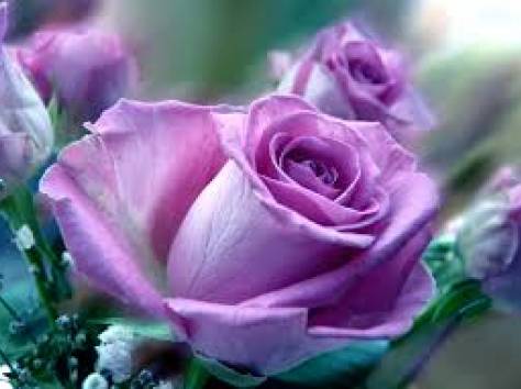 Заказать цветы в любой регион Казахстана, фотография 1