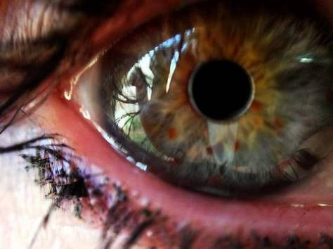 Fisheye, wide, macro - линзы 3 в 1, фотография 7