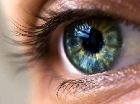 Универсальный объектив для смартфонов 3 в1, фотография 3