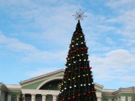 Новогодние елки и игрушки. Опт/розница. Акция!, фотография 7