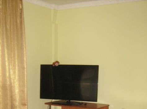 Почасовая, посуточная аренда 1,2-комнатных квартир, фотография 1