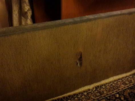 Срочно продам раздвижной диван., фотография 2