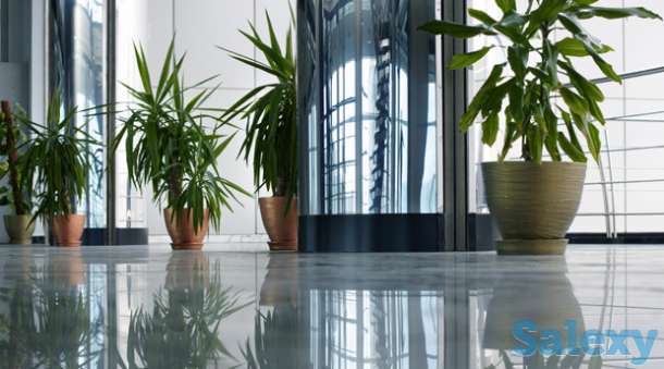 Озеленение помещения. Офисов, торговых помещений. Развлекательных мест., фотография 2