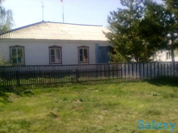 Дом в Алтайском крае Россия, фотография 1