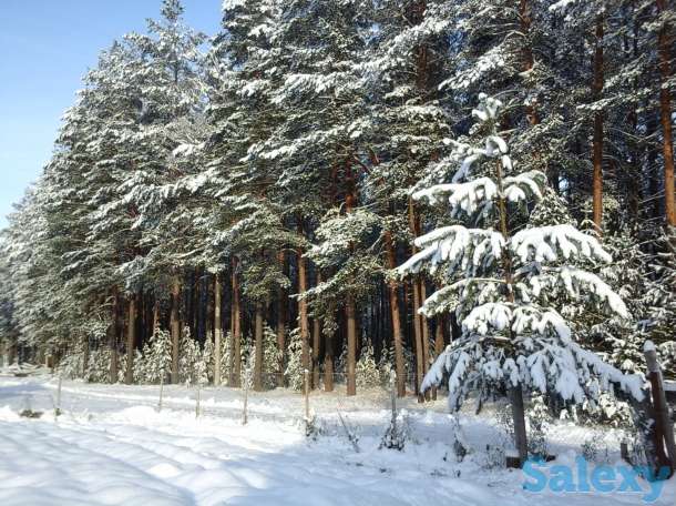зимний дом в красивейшем месте новгородской области, фотография 10