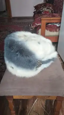 Шапка женская, норка, фотография 1