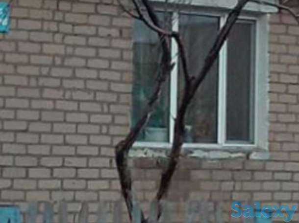 Продам дом в г Ерейментау, фотография 3