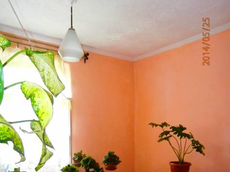 Продам большой  добротный дом на 1 проезде Красного кардона (цена в $), фотография 4