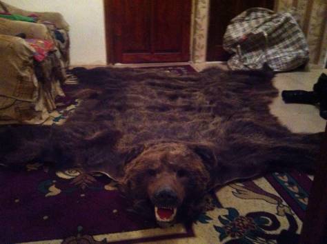 Медвежья шкура, фотография 1