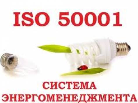 «Энергоменеджмент – управление энергосбережением и энергоэффективностью  в соответствии с  ИСО 50001», фотография 1