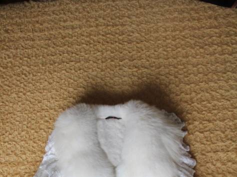 Шубы из натурального меха, фотография 2