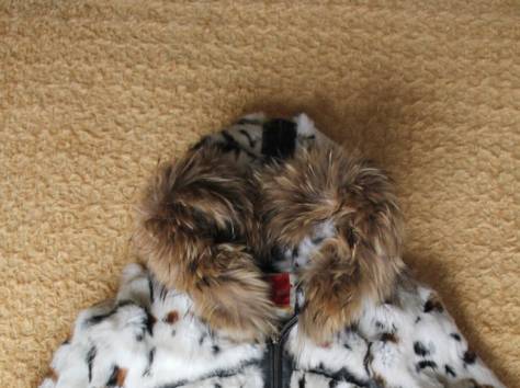 Шубы из натурального меха, фотография 7