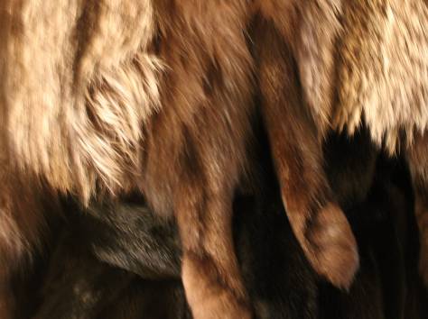 одежда, фотография 5