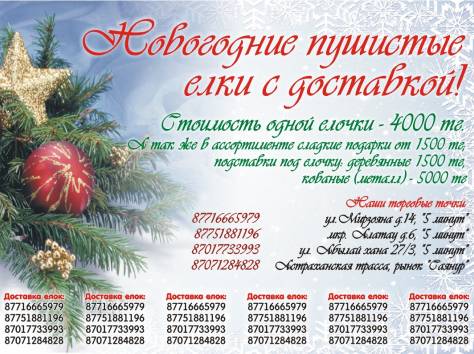 Служба Доставки Новогодних Елок!, фотография 1