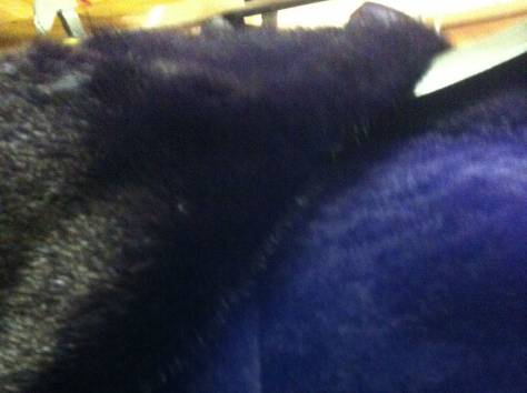 Дубленка кожаная, фотография 2