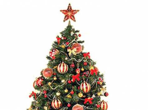 Новогодние елки оптом по СНГ, фотография 1