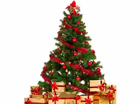 Новогодние елки оптом по СНГ, фотография 3