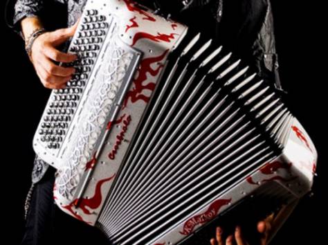 праздник с живым баяном, фотография 1