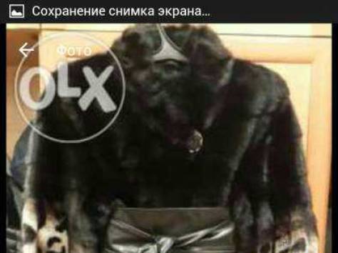 Продается эксклюзивная шубка по низкой цене, фотография 1