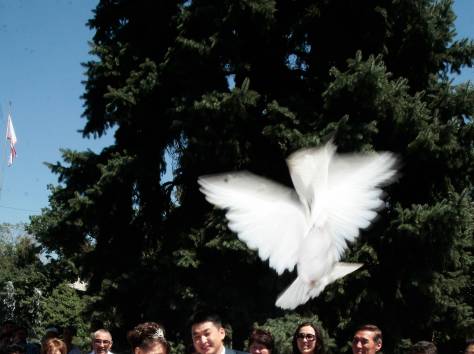 фото и видео, фотография 1