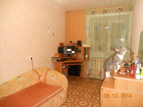 Продам срочно_)!, Новосибирска ( Россия) срочно, фотография 5