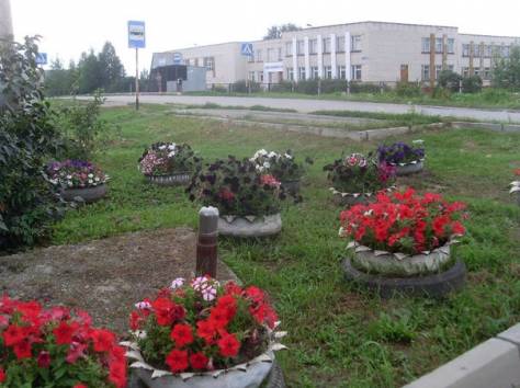 Действующий тепличный бизнес, фотография 2