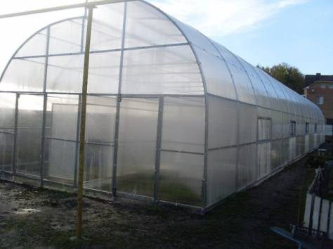 Действующий тепличный бизнес, фотография 7