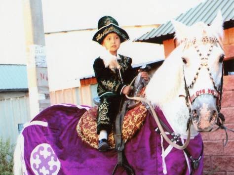 кони , фотография 1