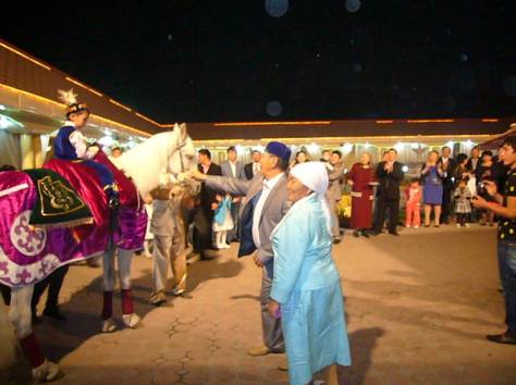 кони , фотография 5