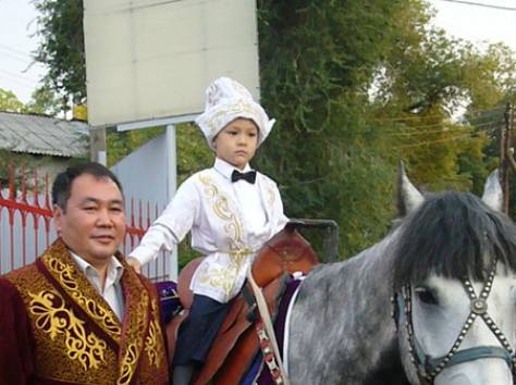 кони , фотография 6