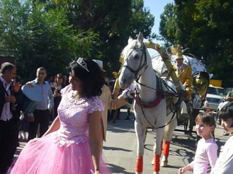 кони , фотография 8