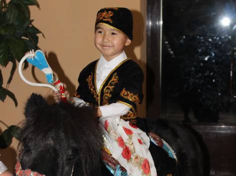 кони , фотография 9