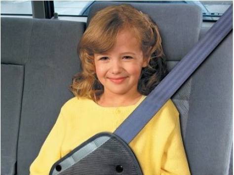 Детское удерживающее устройство, доставка с доплатой, фотография 4