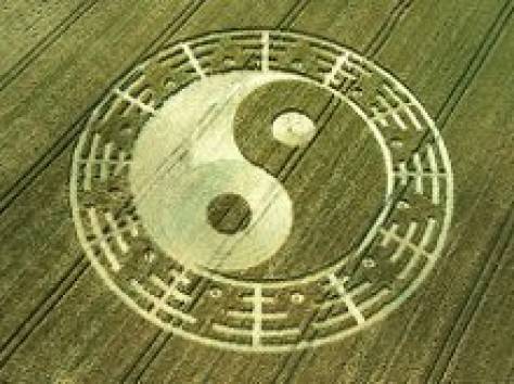 Узнайте функциональное состояние организма за 15 минут!, фотография 1