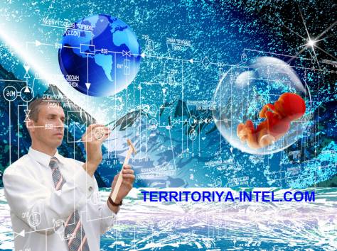 информационные технологии, фотография 1