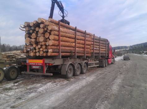 Продажа обрезной доски, круглого леса - производитель из Свердловской области, фотография 3