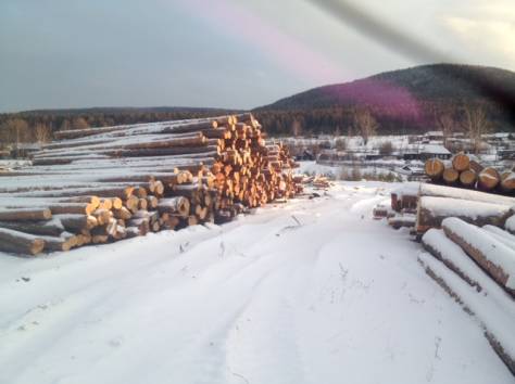 Продажа обрезной доски, круглого леса - производитель из Свердловской области, фотография 5