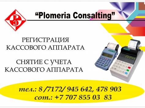 Регистрация ТОО и ИП в Астане и по Казахстану, фотография 2