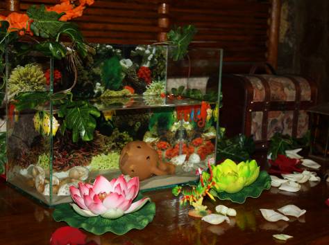 Тамада. Ведущая., фотография 2