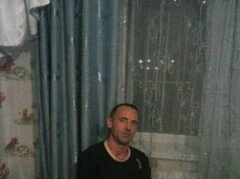 Отдам щенков шар-пея в хорошие руки, фотография 1