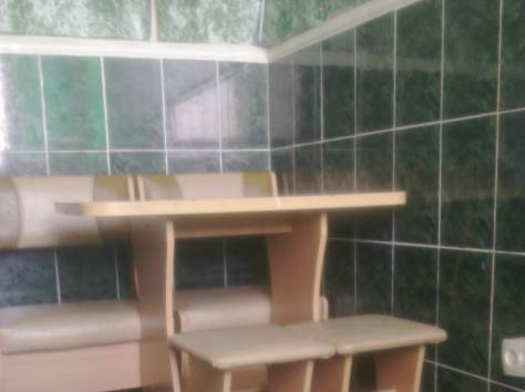 Сдается 1-комнатная квартира посуточно по 5500 тенге, фотография 2