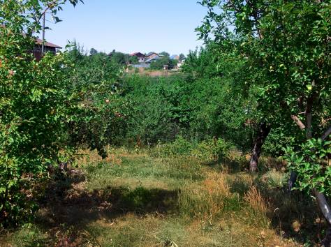 Продам кирпичный дом с участком 9,5 соток, фотография 7