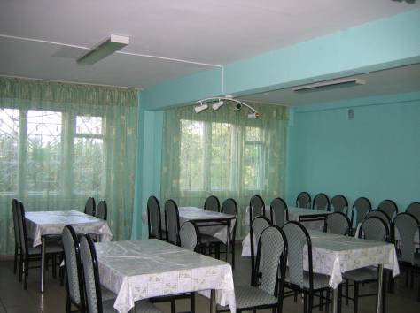 продам кафе-бар, п.Алтайский, фотография 1