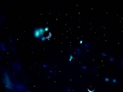 Бизнес ниша , фотография 1