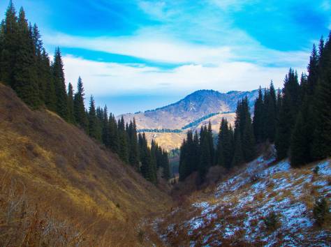 Профессиональное видео, фото, фотография 5