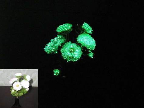 Светящиеся живые цветы с наклейками, фотография 5