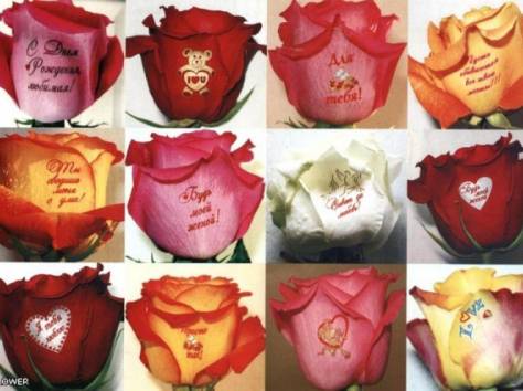 Светящиеся живые цветы с наклейками, фотография 7